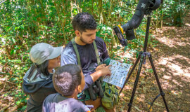 Monteverde Cloud Forest Reserve Guided Walk